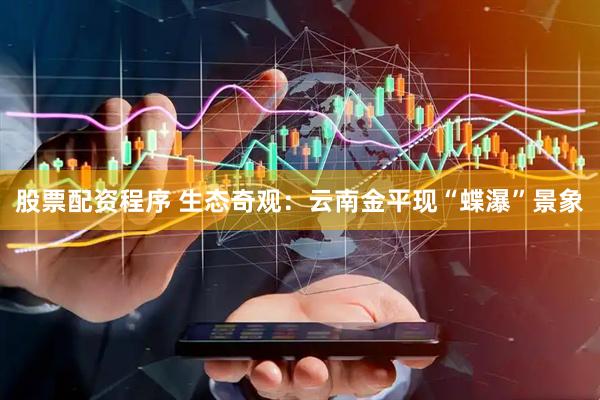 股票配资程序 生态奇观：云南金平现“蝶瀑”景象