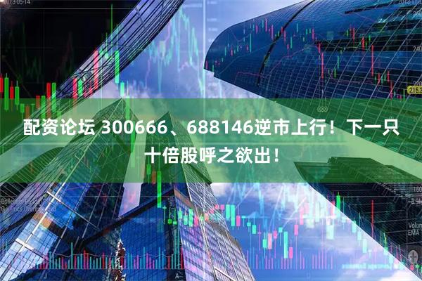 配资论坛 300666、688146逆市上行！下一只十倍股呼之欲出！